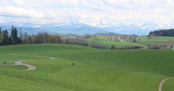 The Bernese Oberland