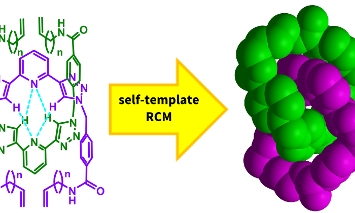 “Captured and put in chains” – new article in Angewandte&nbsp;Chemie