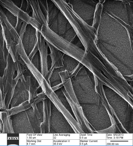 Helium ion miscroscopy of a metallogel